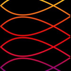 Meet your Posher, Joanie